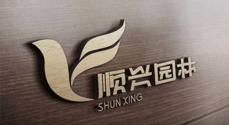 无棣县VI设计：城市品牌蝶变的核心引擎